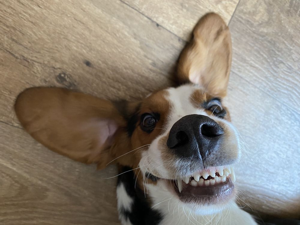 Photograph by Мостовой Дмитрий