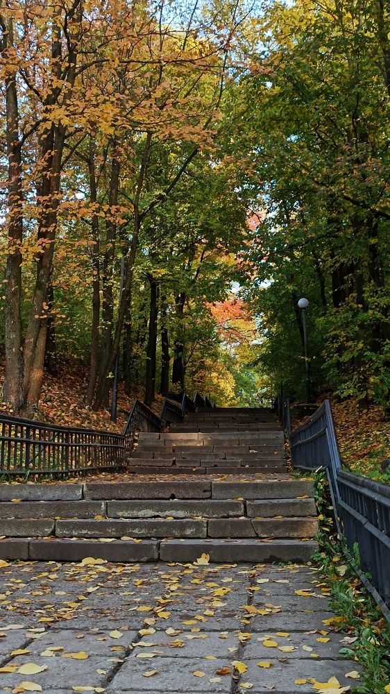 Photograph by Игорь Максимов