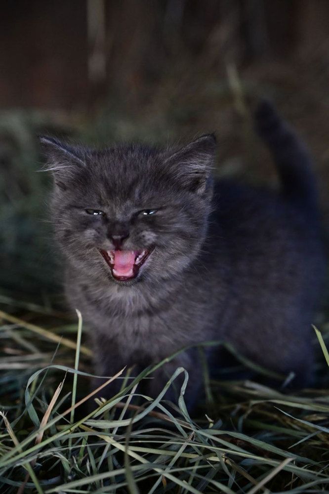 Photograph by Надежда Преминина