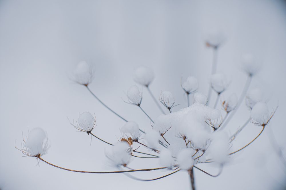 Photograph by Сергей Забиякин