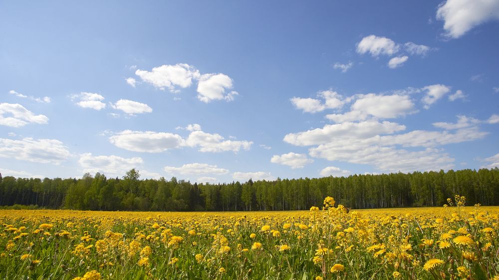 Photograph by Мостовой Дмитрий