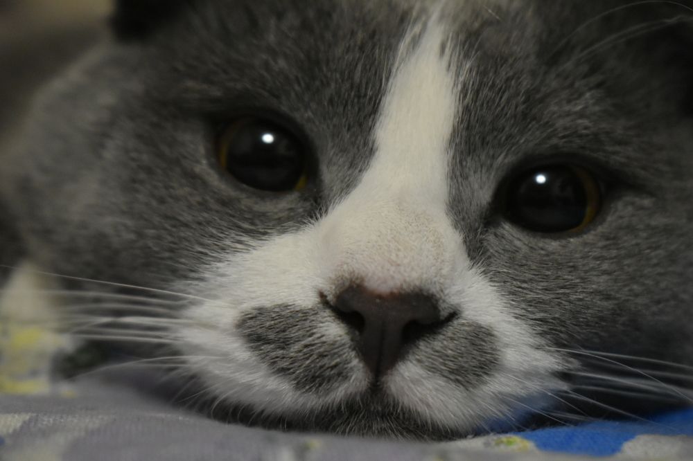 Photograph by Ольга