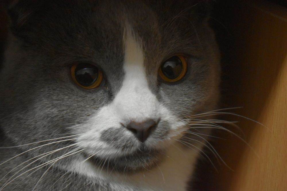 Photograph by Ольга