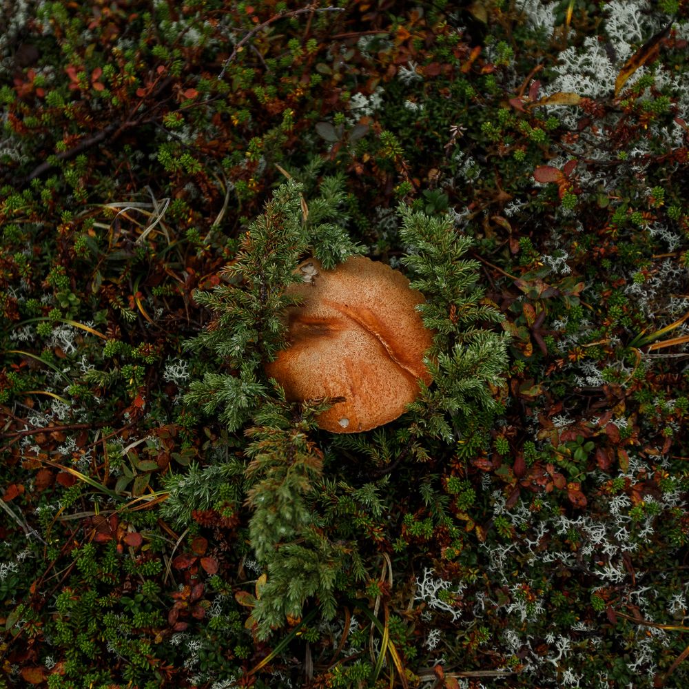 Photograph by Евгения Булычёва