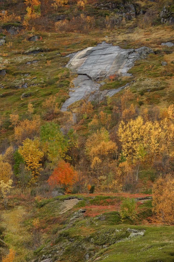 Photograph by Евгения Булычёва