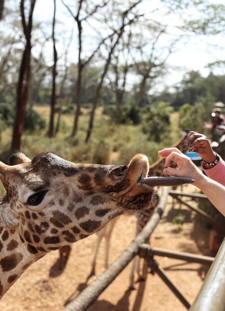Photograph by Людмила Евстратова