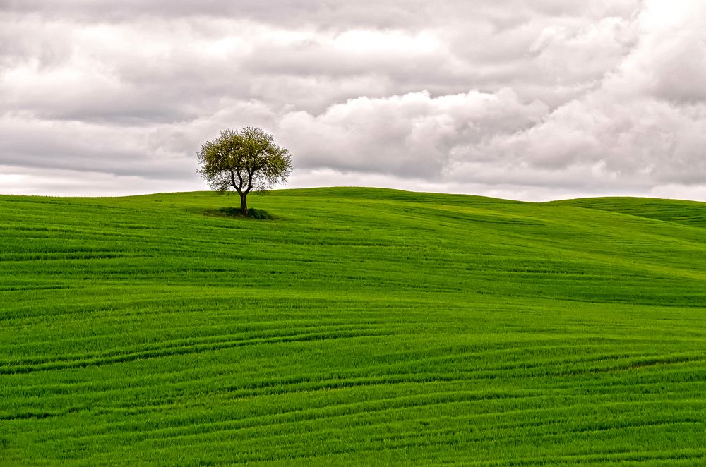 Photograph by Aleš Maučec