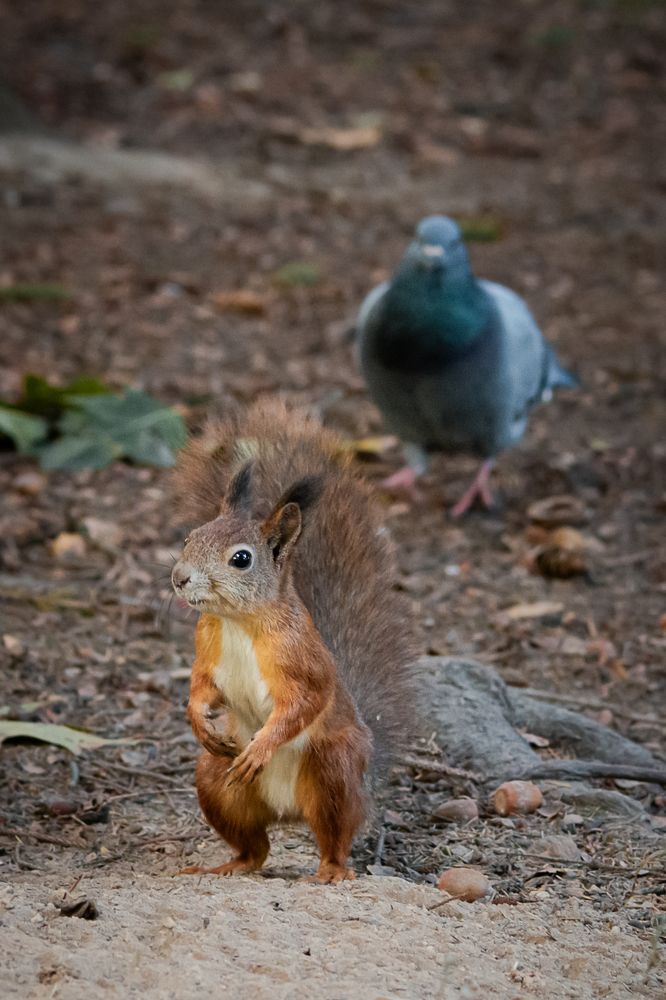 Photograph by Лора