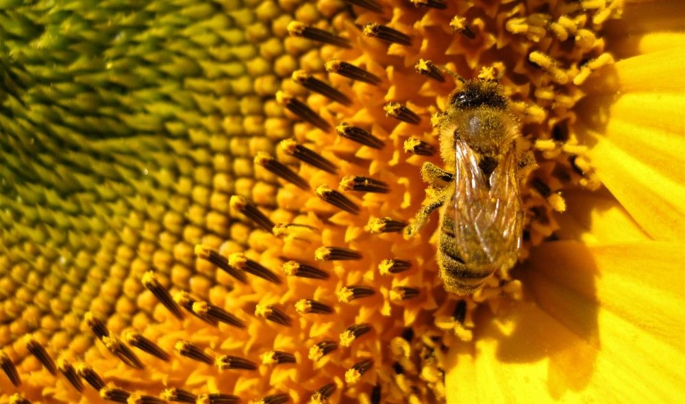 Photograph by Viktoriia Rusanova