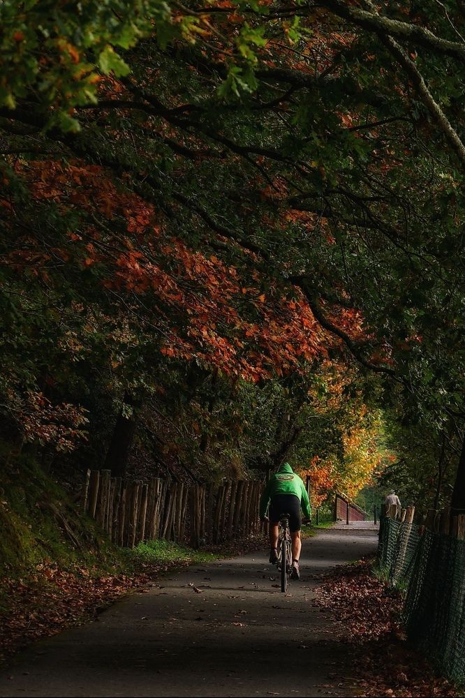 Photo #9707444