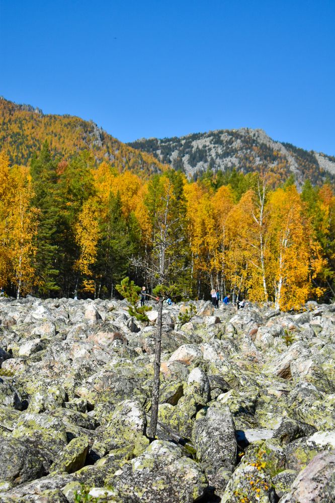 Photograph by Ольга