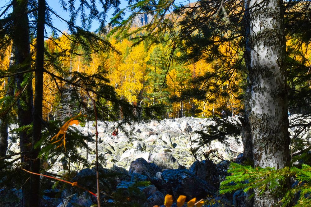 Photograph by Ольга