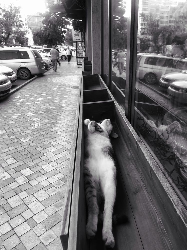 Photograph by Людмила Евстратова