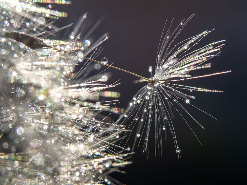 Photograph by Маргарита Ивкова