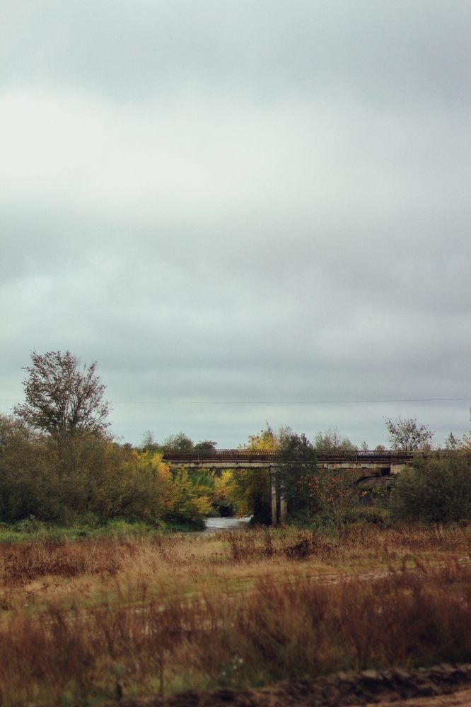 Фотография автора Angelina Karelina