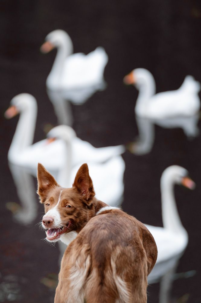 Photograph by Olga Shmeleva