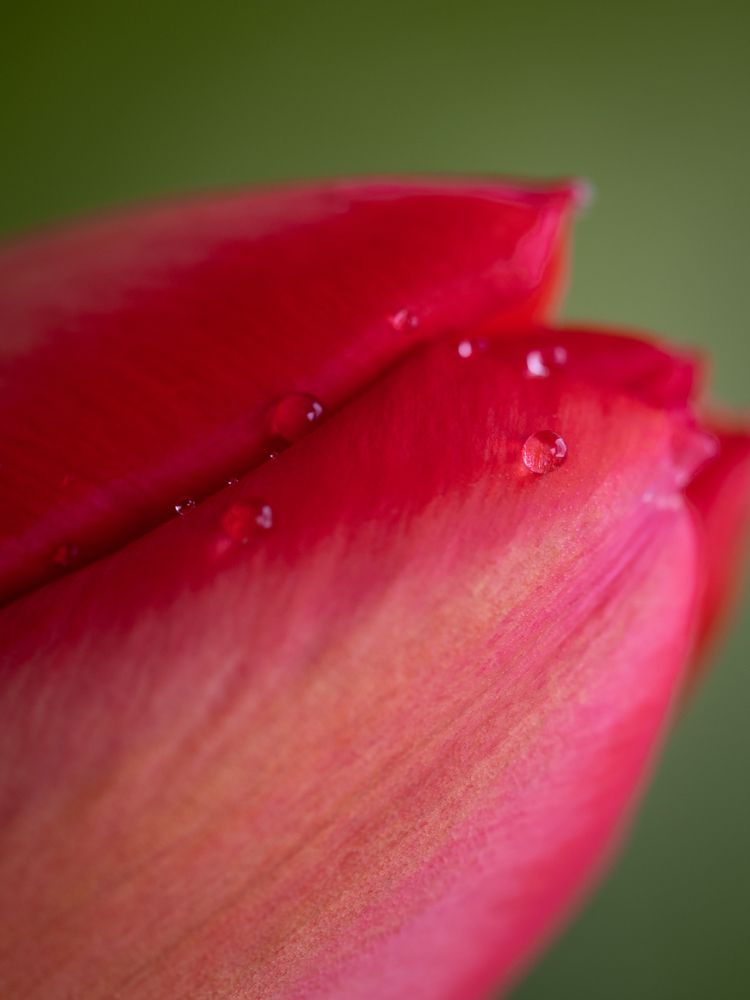 Photograph by Маргарита Ивкова