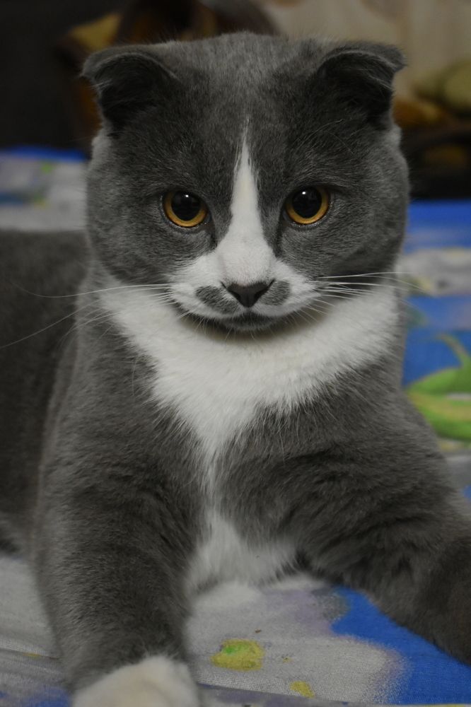 Я вижу тебя