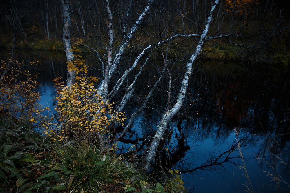 Photograph by Евгения Булычёва