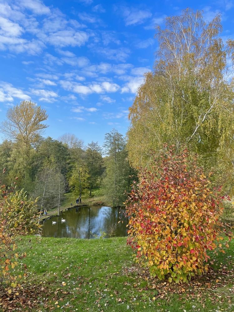 Photograph by Наталья Маркова