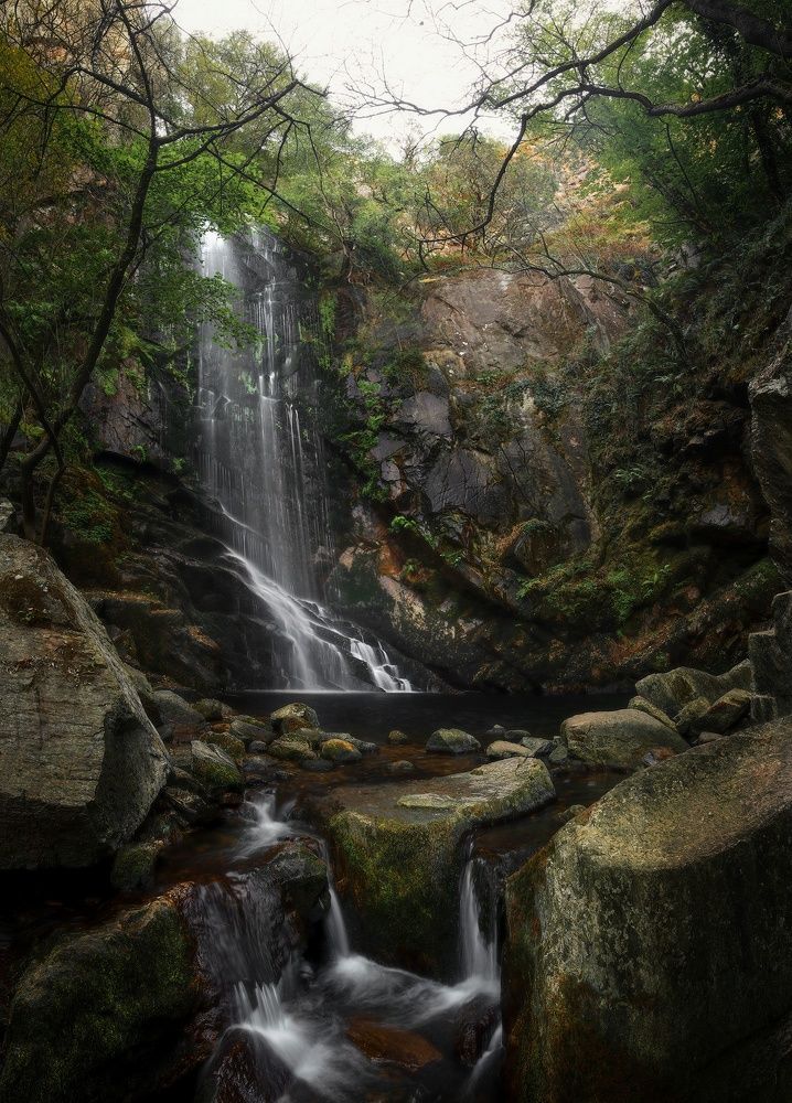 Photograph by Miguel Iglesias