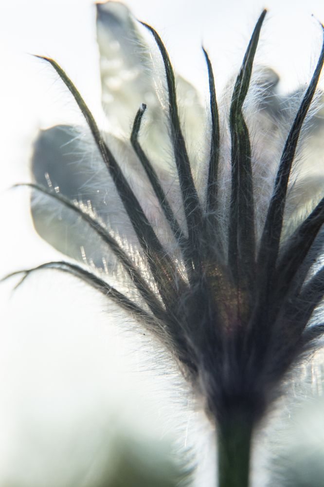 Photograph by Света Назарова