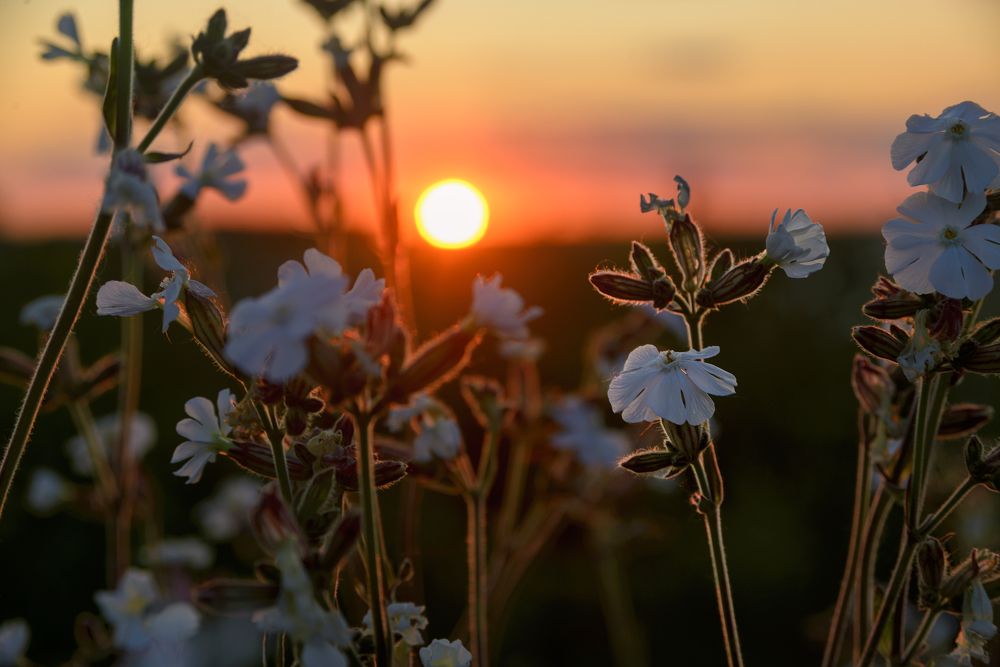 Photograph by Иван Курятников