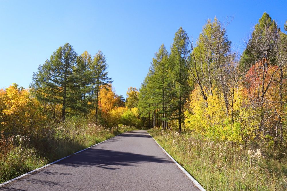 Photograph by Надежда Ключкина