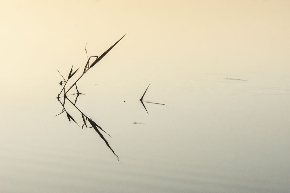 Photograph by Екатерина Бахтинова