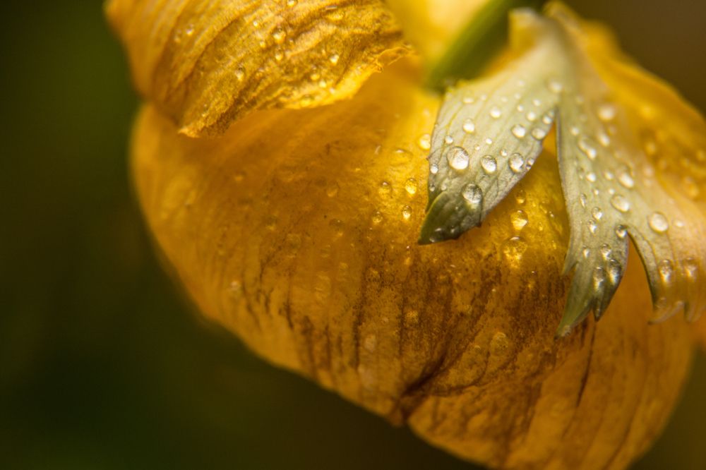 Photograph by Света Назарова