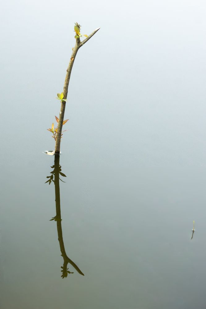 Photograph by Екатерина Бахтинова