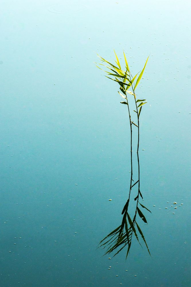 Photograph by Екатерина Бахтинова