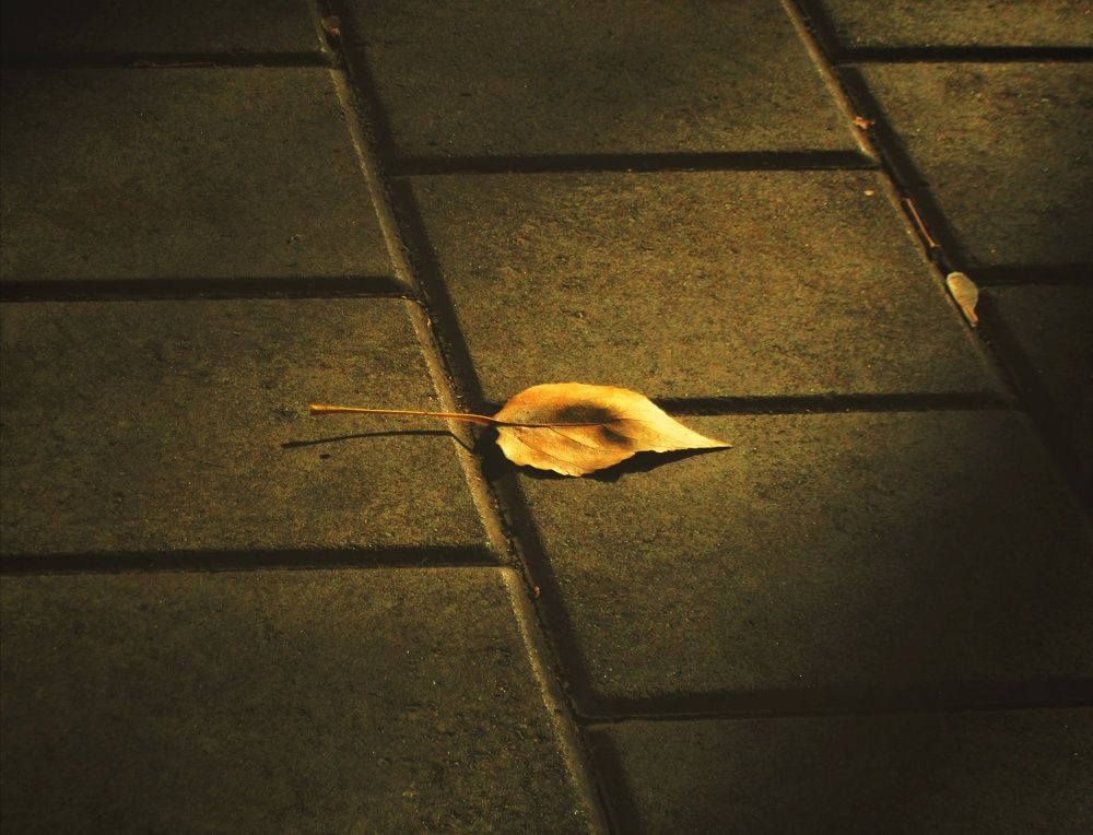 Photograph by Kanat Amre