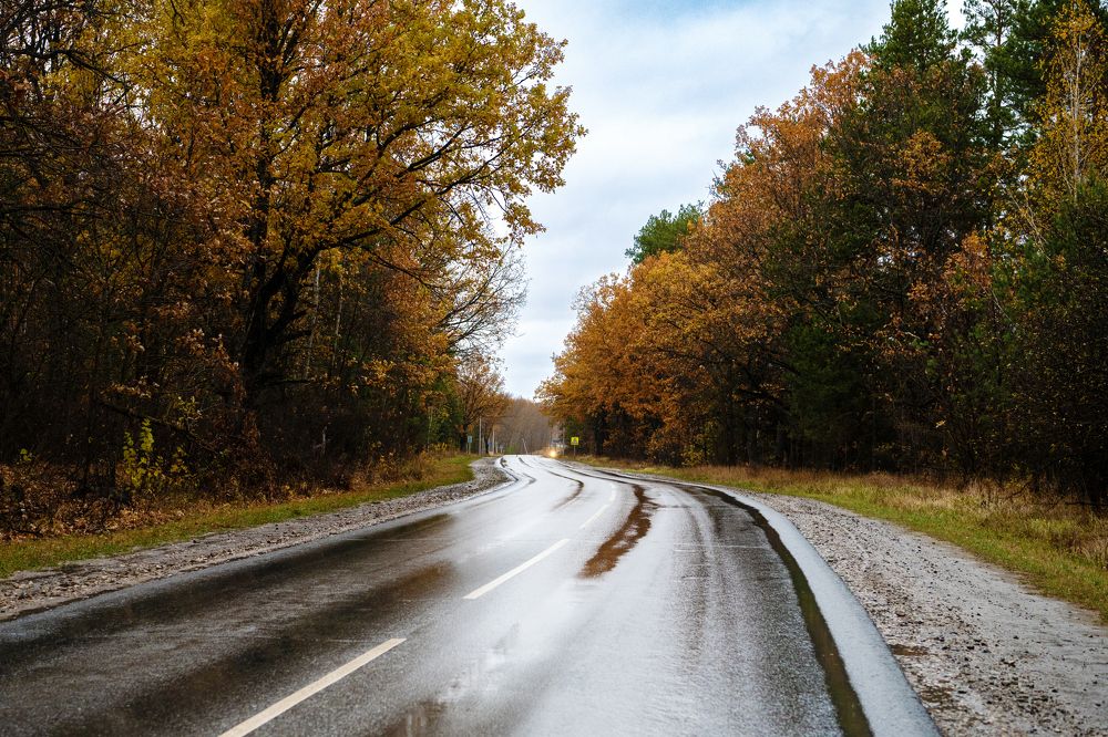 Осень, дождь и дорога