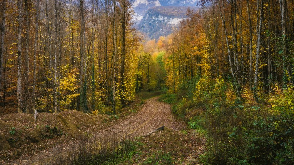 Photograph by Антон Литвин