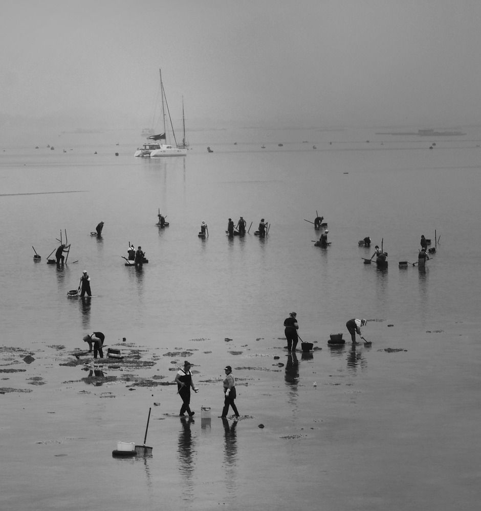 Seafood on foot. Galicia
