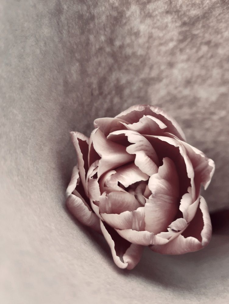 Photograph by Татьяна