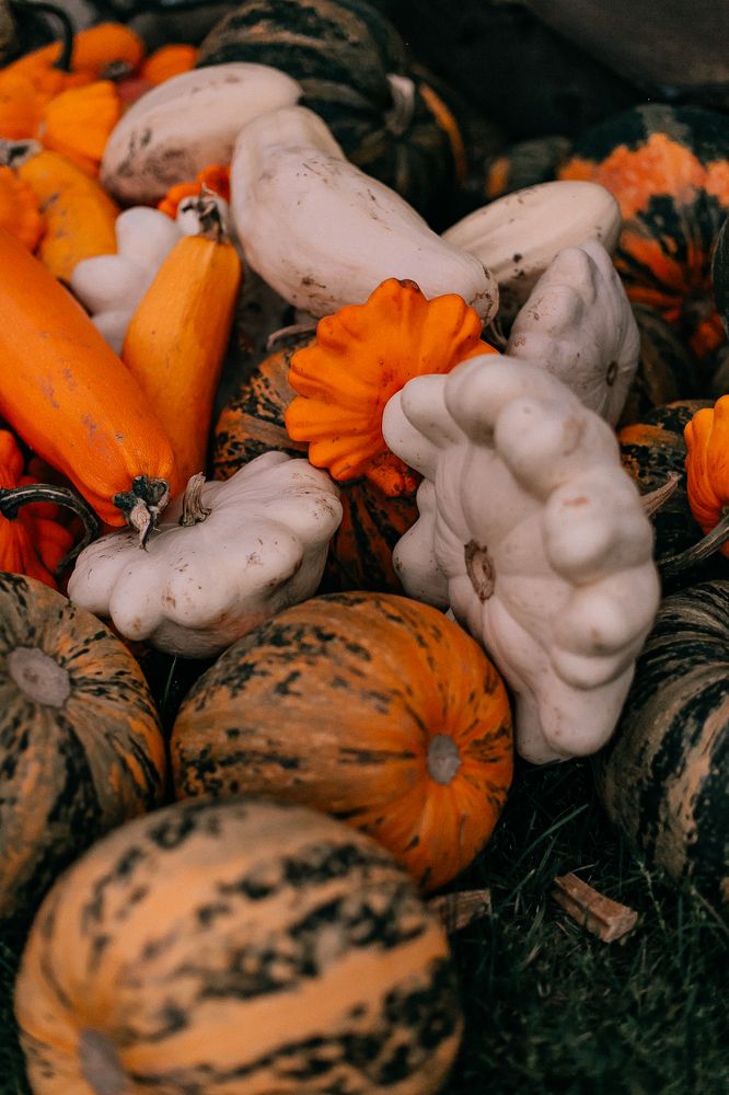 Photograph by Оксана Печкурова