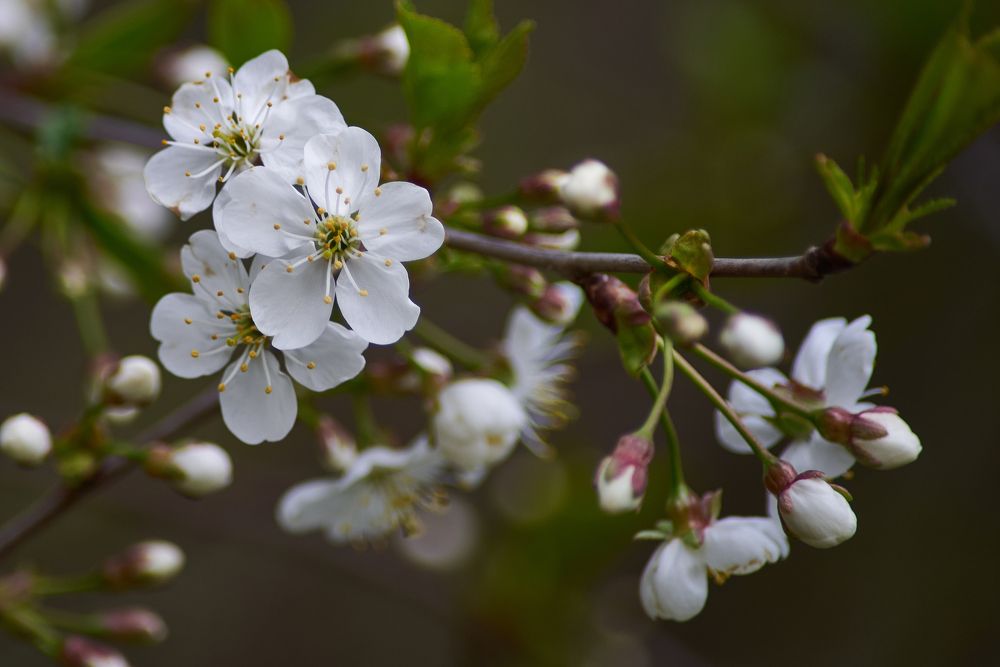 Photograph by Мостовой Дмитрий