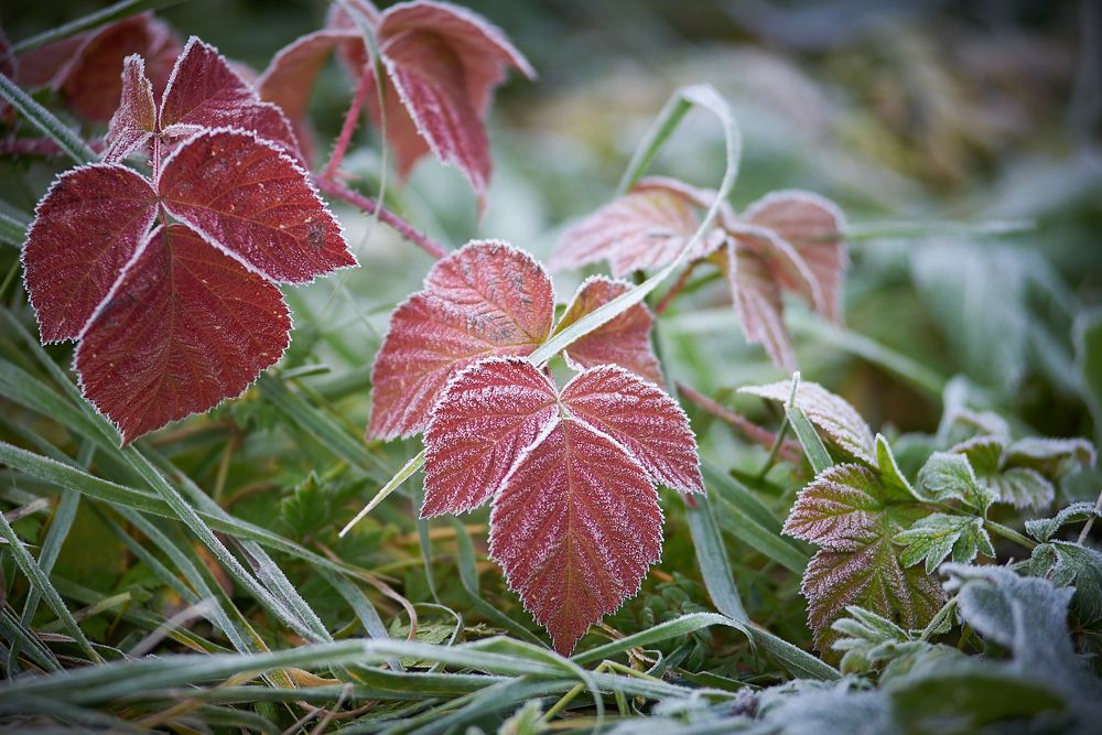 Photograph by Мостовой Дмитрий
