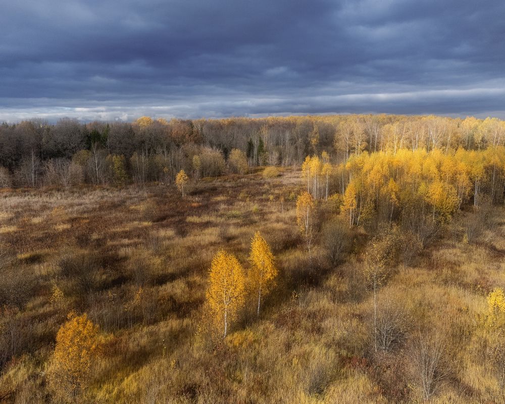 Фотография автора Мартыненко Дмитрий
