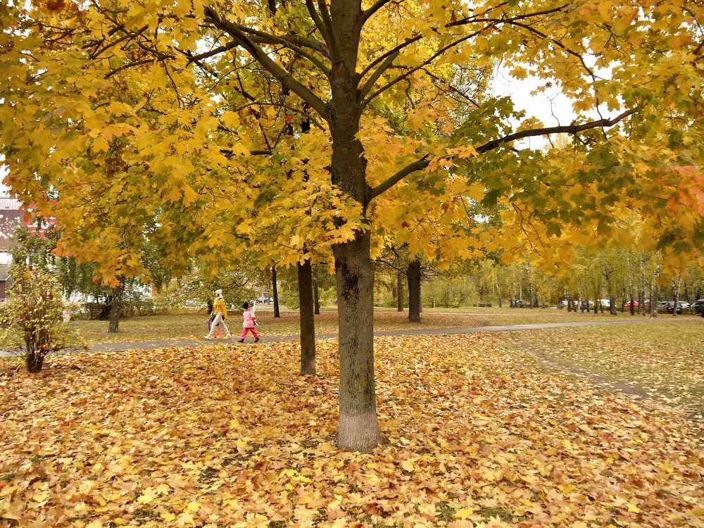 Фотография автора Клавдия Васильева