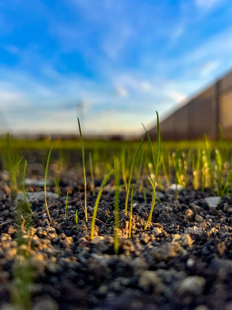 Photograph by Елена Сиушова