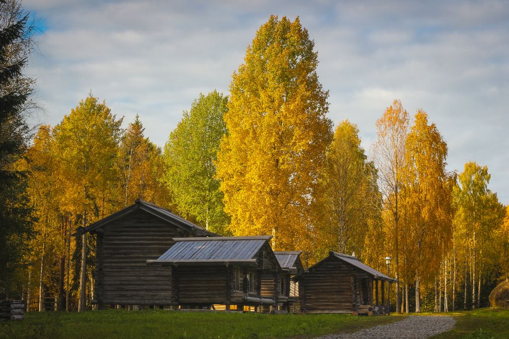 Photograph by Юлия Крюкова