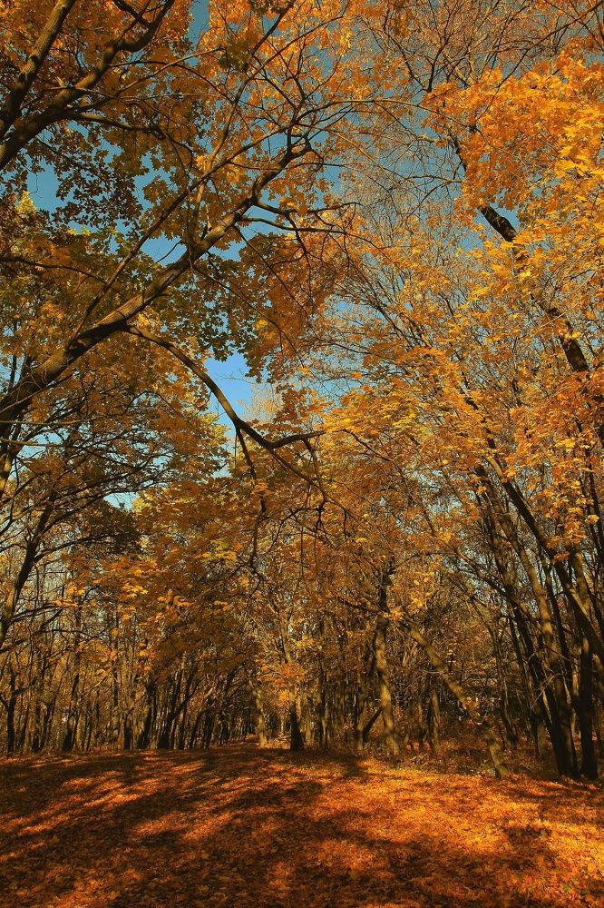 Photograph by Инга Сабанова