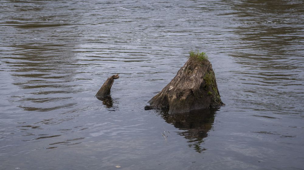 Photograph by Анна Панеева