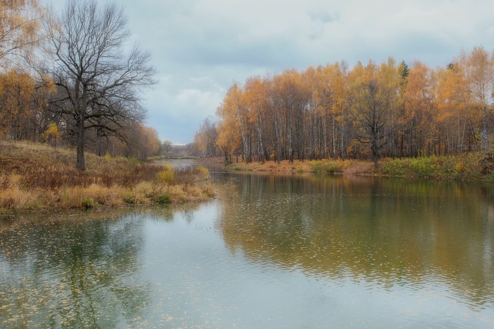 Фотография автора Мартыненко Дмитрий