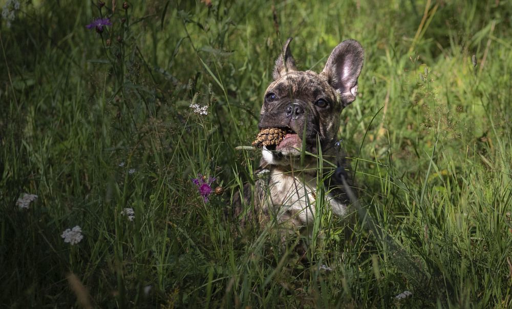 Photograph by Анна Панеева