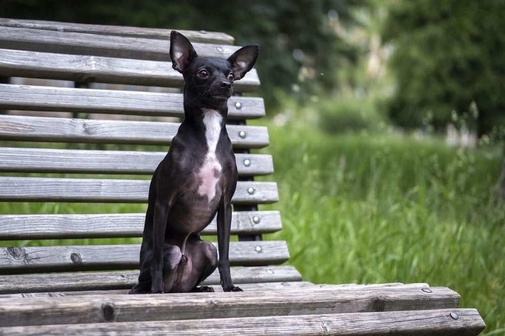 Photograph by Анна Панеева