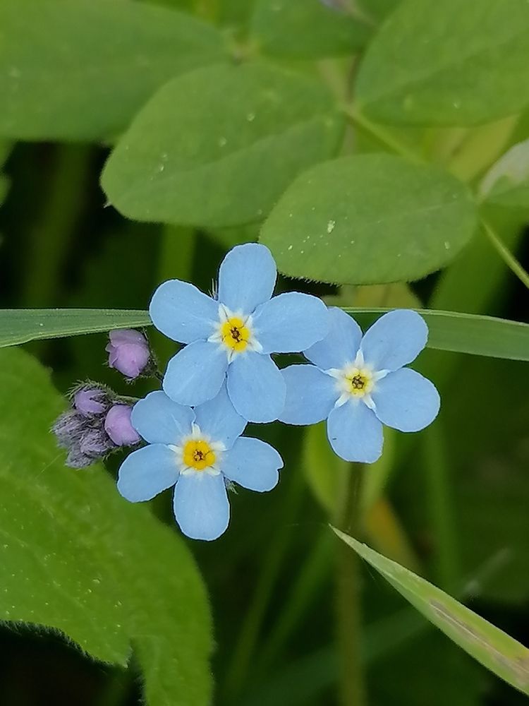 Photograph by Татьяна